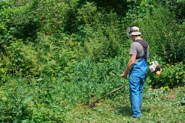 Similar image 21872892