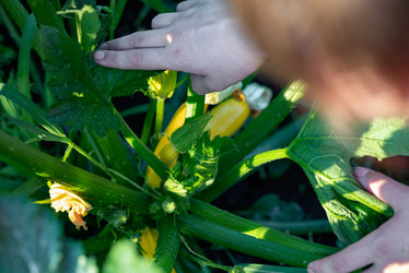 Similar image 21872613