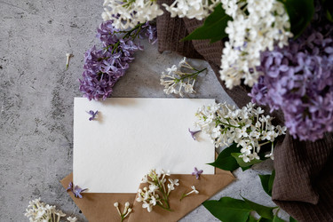 Similar image 21872621