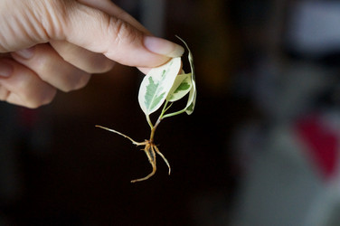 Similar image 21872897