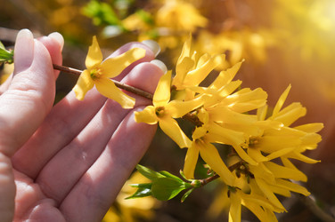 Similar image 21872916