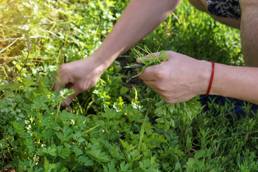 Similar image 21872929