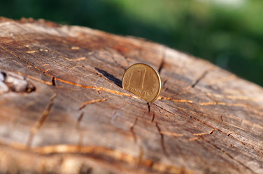 Similar image 21872938