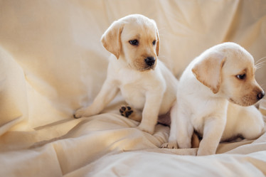 Similar image 21875307