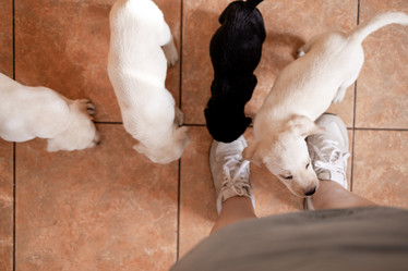 Similar image 21875929