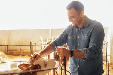 Similar image 21875934