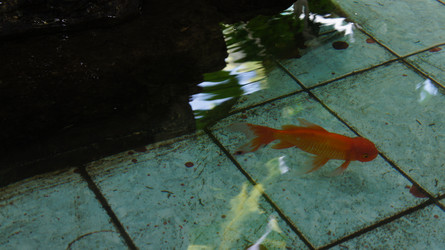 Similar image 21873228