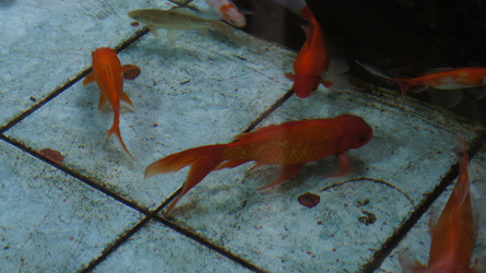 Similar image 21873229