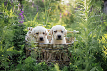 Similar image 21875137