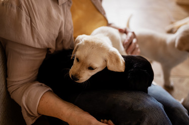 Similar image 21875146