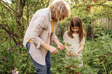 Similar image 21875159