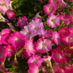 Similar image 21872939