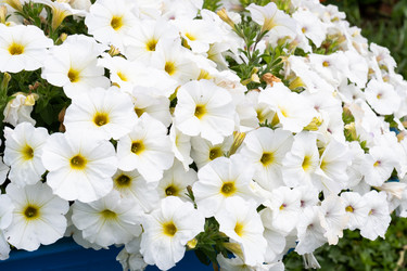 Similar image 21872941