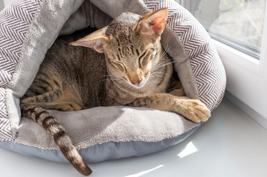 Similar image 21872942