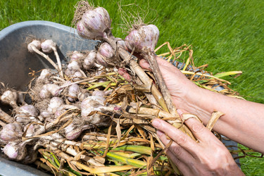 Similar image 21872944