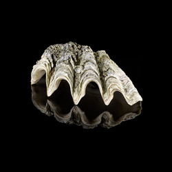 Similar image 21873235