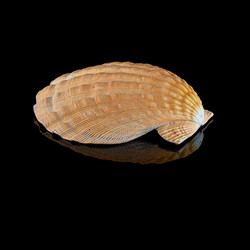 Similar image 21873238