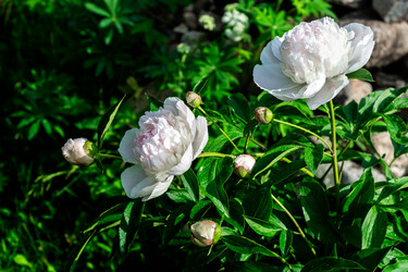 Similar image 21872623