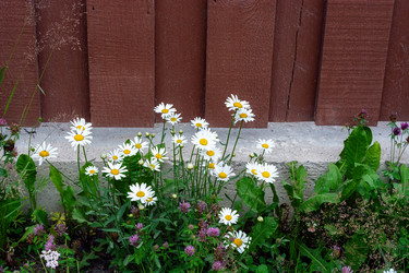 Similar image 21872624