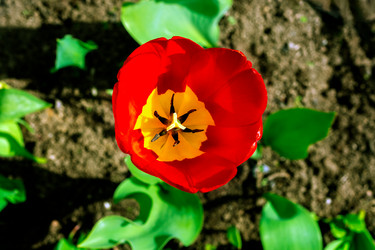 Similar image 21872628