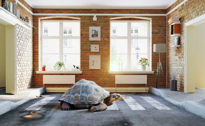 Similar image 21872963