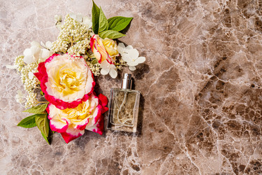 Similar image 21872988