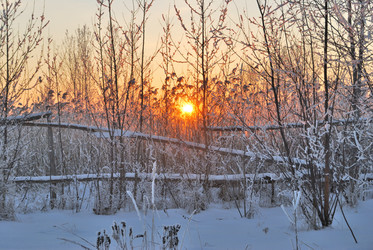 Similar image 21873419