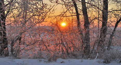 Similar image 21873420