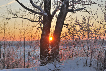 Similar image 21873421