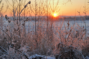 Similar image 21873422