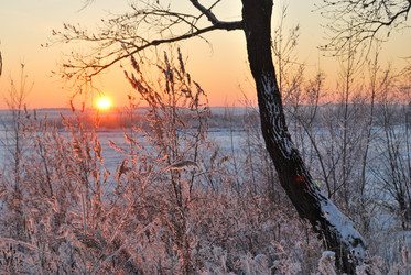 Similar image 21873424