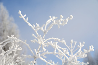 Similar image 21873429