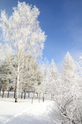 Similar image 21873433