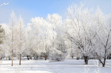 Similar image 21873434