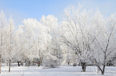 Similar image 21873435