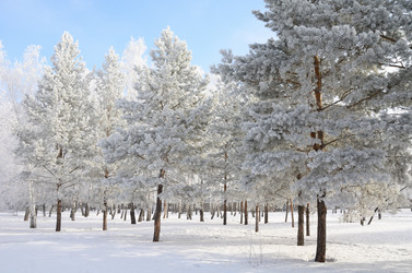 Similar image 21873436