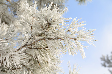 Similar image 21873437