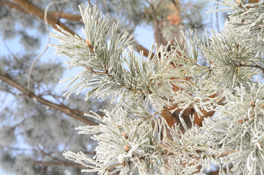 Similar image 21873438