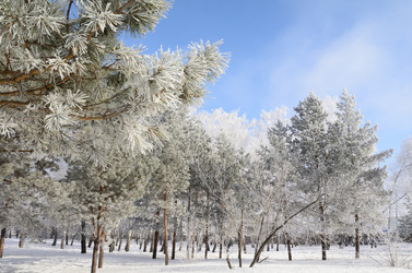 Similar image 21873439