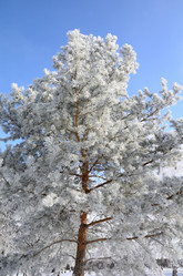 Similar image 21873440