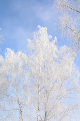 Similar image 21873442