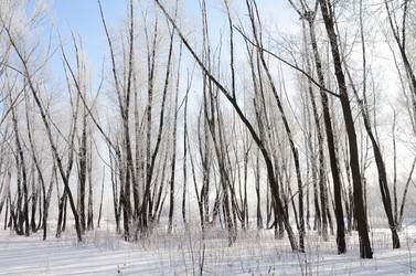 Similar image 21873444