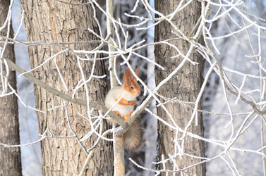 Similar image 21873445