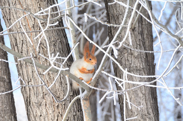 Similar image 21873446