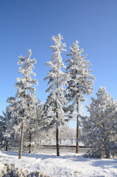 Similar image 21873447