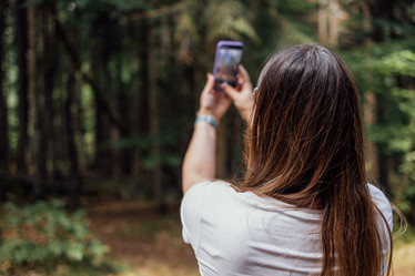 Similar image 21875339