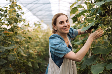 Similar image 21875343