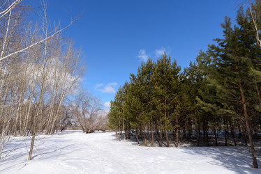 Similar image 21874325