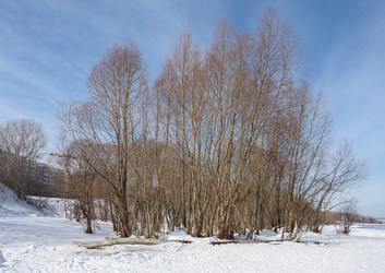 Similar image 21874327