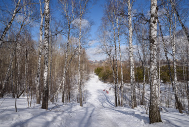 Similar image 21874328